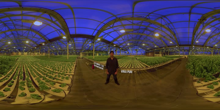 Thumbnail for Gotham Greens 360 FOOD NETWORK