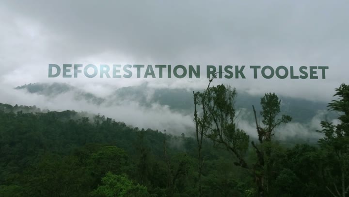 Thumbnail for Moore Foundation - Brand Film